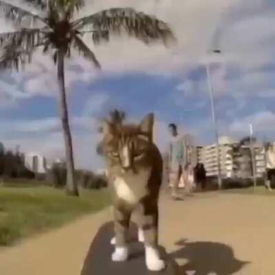 Raw Talent | Day 17/20