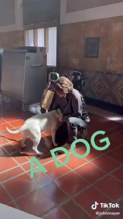 Tik Tok with John’s new music