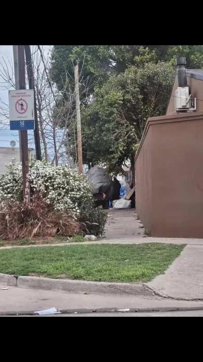 Vecina de San Isidro denuncia que se le instalaron indigentes en la puerta de su casa y se ponen a quemar cables