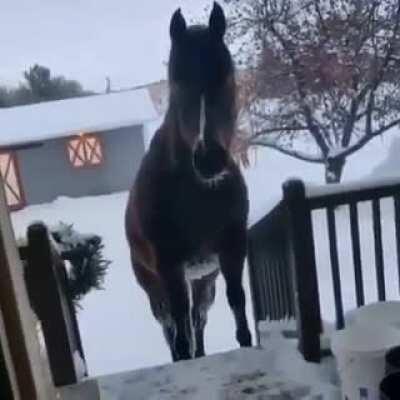 Do as you please with this