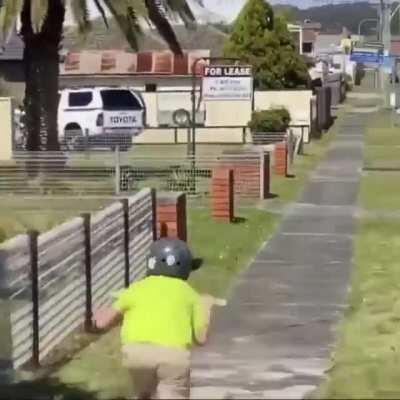 Breaking: Bird just wants to be pals with a kid, but kid won't listen.