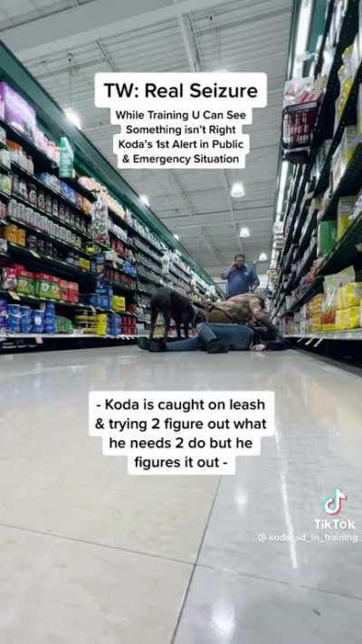 Seizure patient was recording a training session with her alert dog, has real seizure, dog performs tasks.