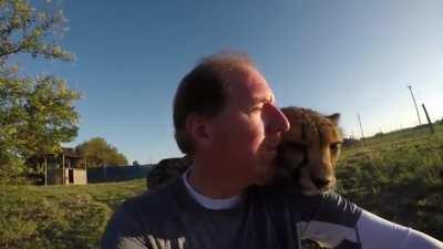 It Felt Pretty Obvious.