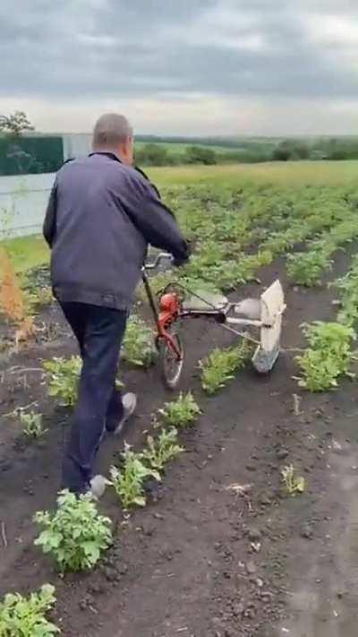 The farmer who found a way to get rid of agricultural pests without using pesticides. This is brilliant and they are still alive.