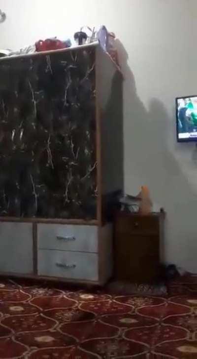 This guy reminded me of my childhood... Happy to see things opposite to the narrative of Kashmir today