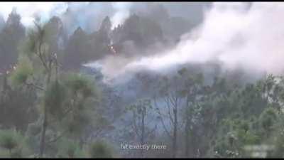 2manyCarlGustafs4you