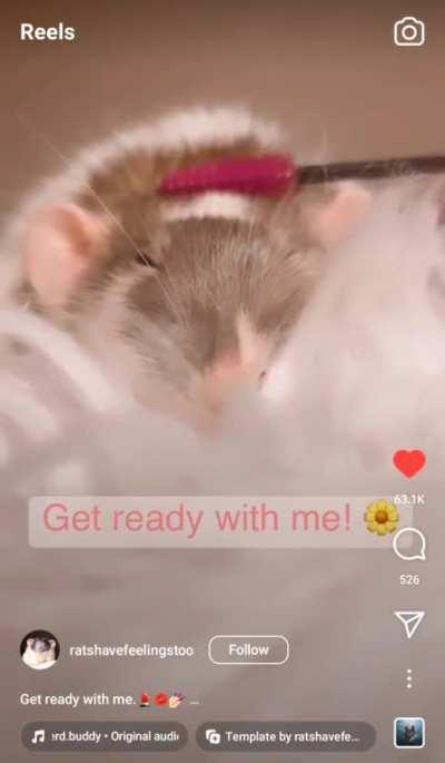 This video made my day 