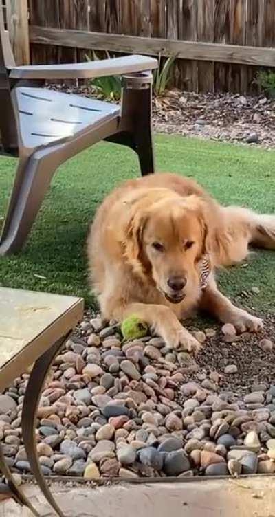 And the town whistle went off...