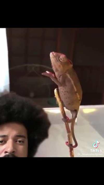 Someone said it looks like he’s doing slam poetry