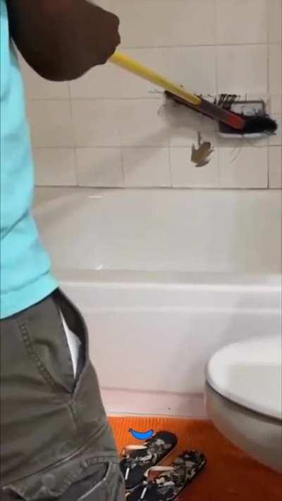 dont mind the blue banana