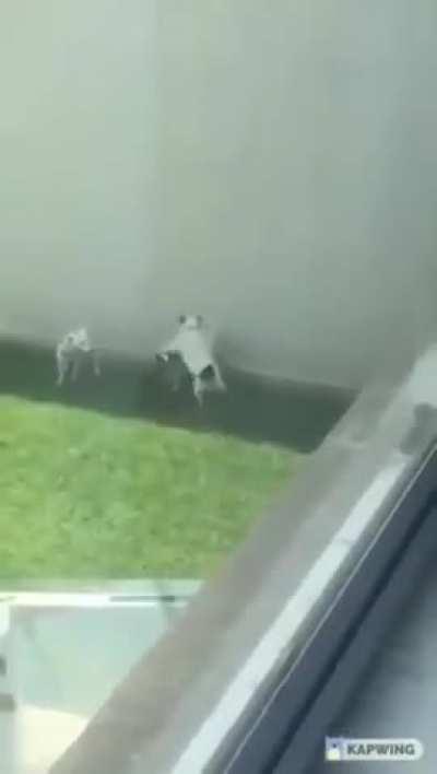 Bromancing be like...