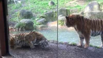 Wife lashes out at husband for waking her