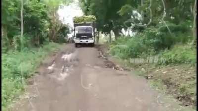 Overloading a truck with plantains to avoid a second trip... ruined their own day