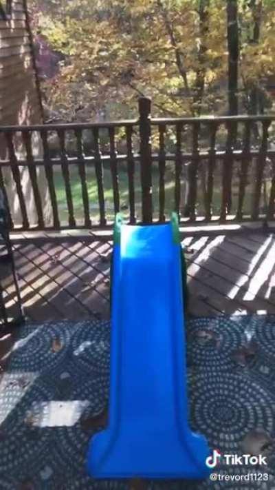 Expert Hider (Not OC)