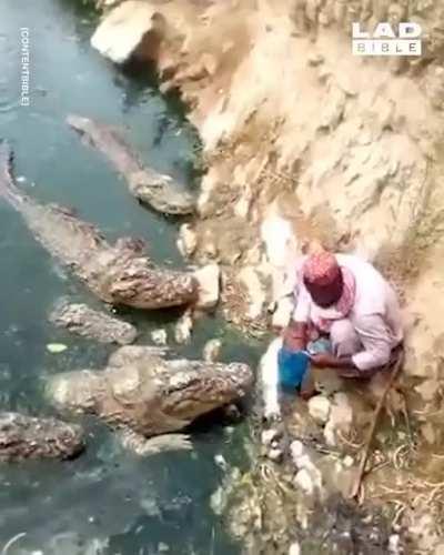 They have to eat to, I suppose.