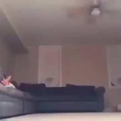 gen z humour, if charmx watches this imma go have a mental breakdown