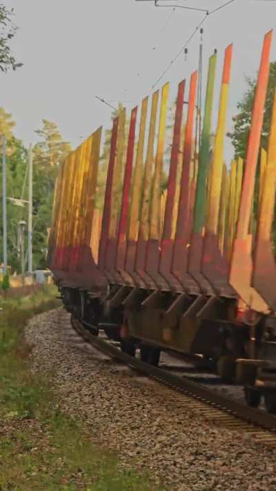 Empty timber wagons in motion. TÅGAB keeping the rails alive