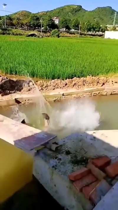 完美的无产阶级喜剧