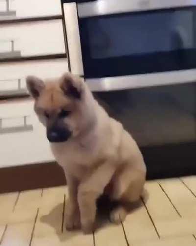 He just keeps tapping