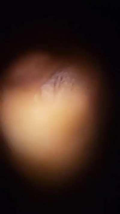 kbfgbnj - Video #2644