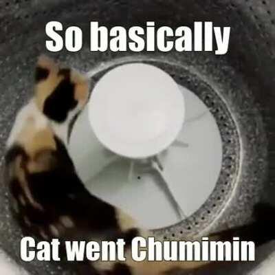 They are all of those 