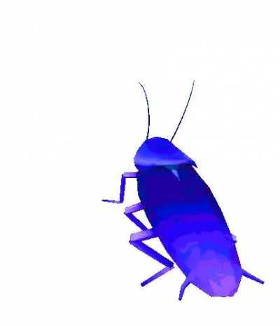 seen this gif going around for a while, thought i would share it if anyone wants to use it for a pfp :D