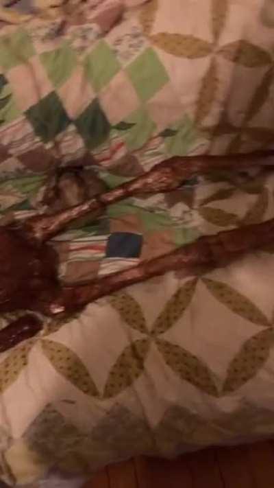 cursed_ L̷o̷o̷k̸ ̶a̵t̸ ̸h̷o̷w̴ ̴c̵u̶t̵e̸ ̴h̵e̶ ̷l̸o̴o̷k̸s̵ ̶w̷h̵i̴l̸e̴ ̶h̵e̷’̴s̴ ̸s̴l̴e̸e̴p̷i̶n̷g̷