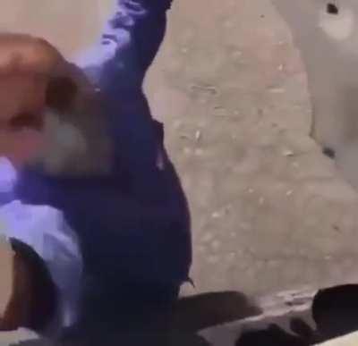 Hj é terça feira ;)