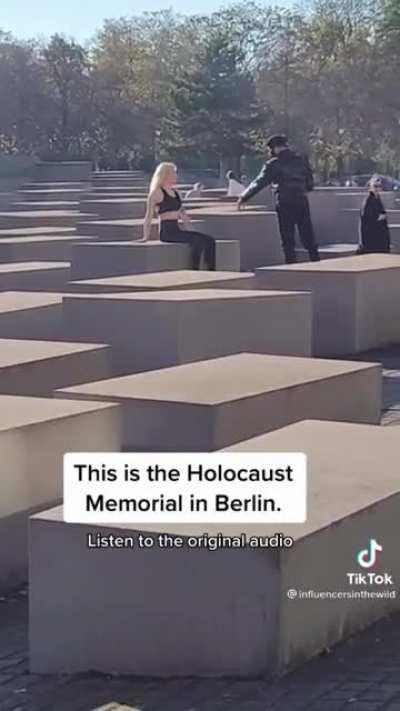 Caption probably “can’t describe how this made me feel #holocaust”