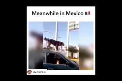 Average Mexican Day 🇲🇽