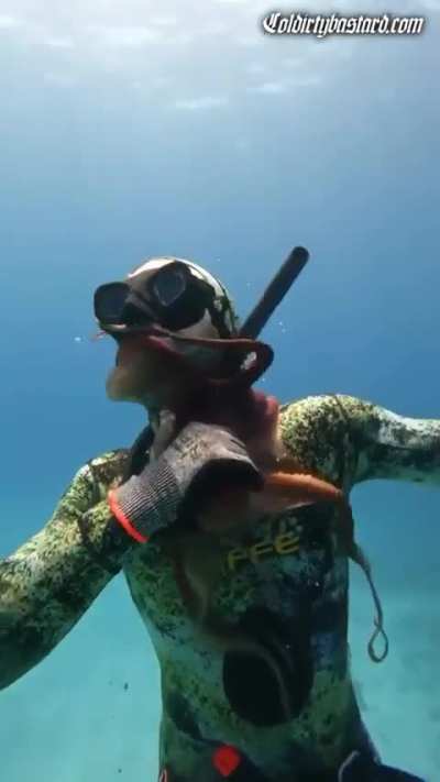 An octopus protects itself against somebody messing with it.