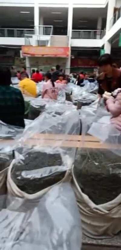 Have you ever seen a tea market? A place where tea farmers hope for a good price. Buyers hope for good tea
