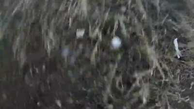 Why do a wheelie there?