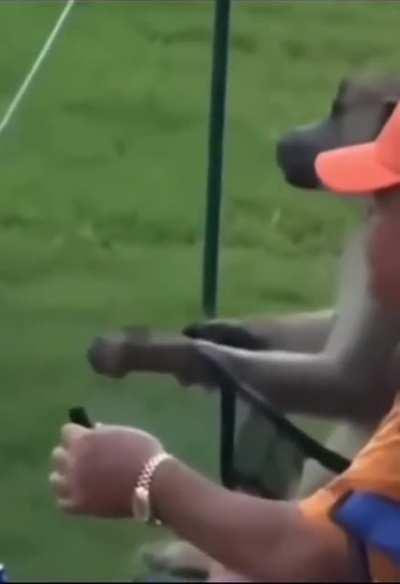 Blursed_golf
