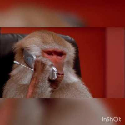 Sir aapka bhatsapp par latarry laga hai