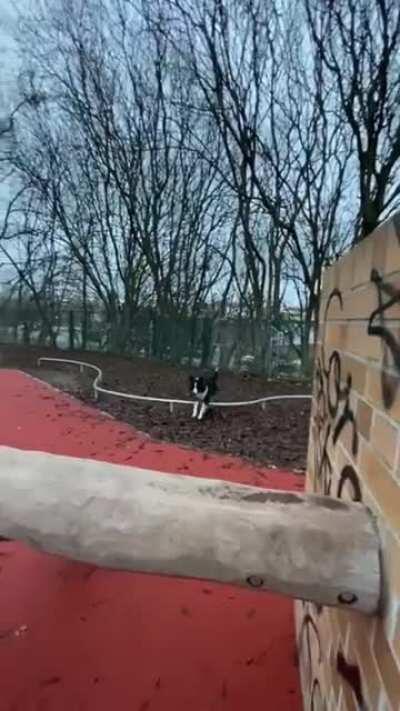 The perfect storm of intelligence and agility