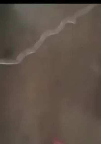 Pare a Fake News ✋