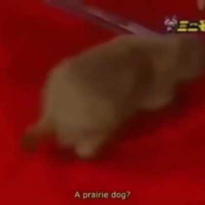 Fratelli! Ho trovato l'origine