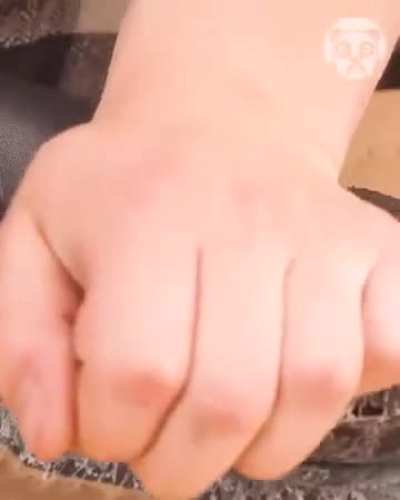 Presenting the Croc Crushers