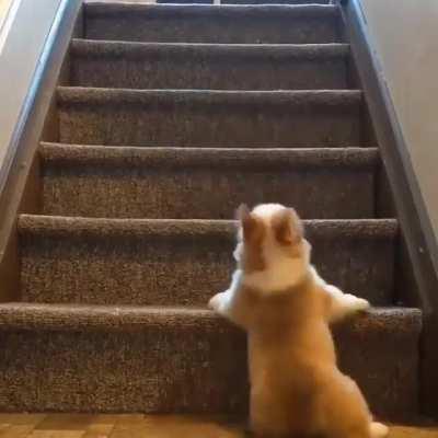 Try Again and Again!