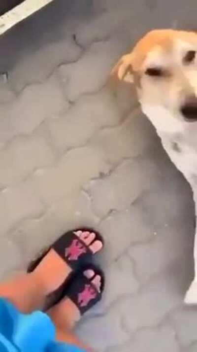 Didn’t need that foot anyway