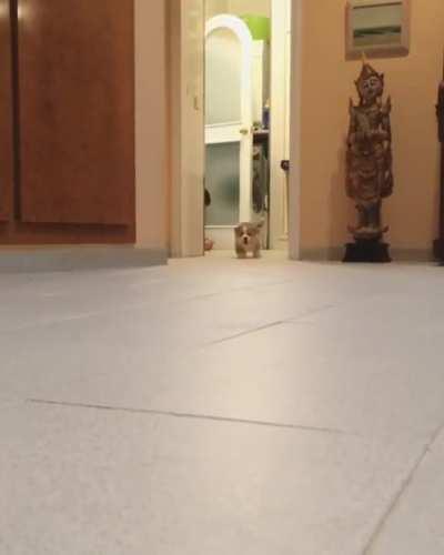 Disturbing footage of the attack recovered from the victim's phone