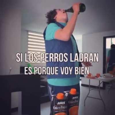 uriGOD🐀💎 dando consejos millonarios