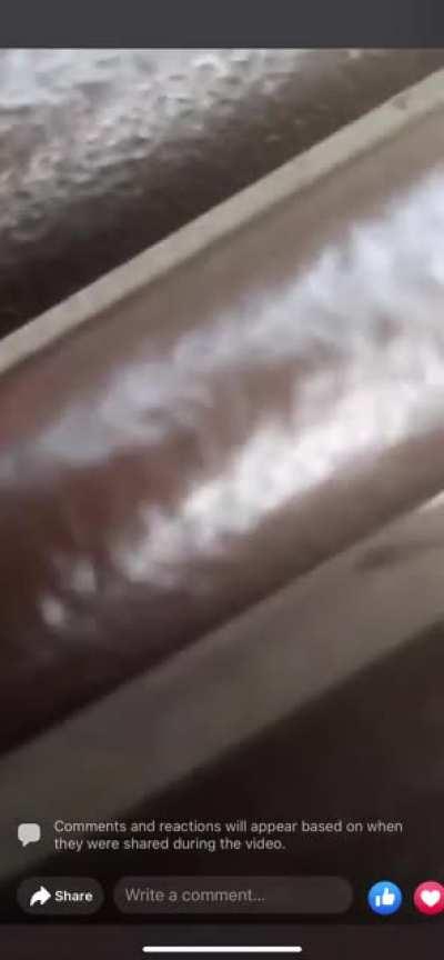 Highland Park Shooting capture on FB live