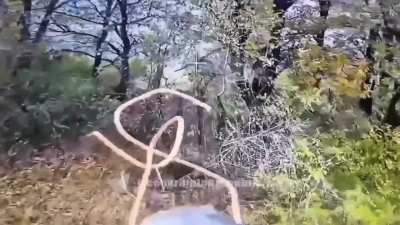 Mortar crew gets away as their still smoking piece is targeted by a fiber optic FPV drone in Dachens'ke in November 2024