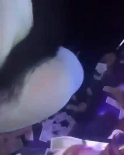 wyd if u in her section and she start twerking on u?? 🙃