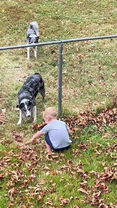 Kid living his best life.