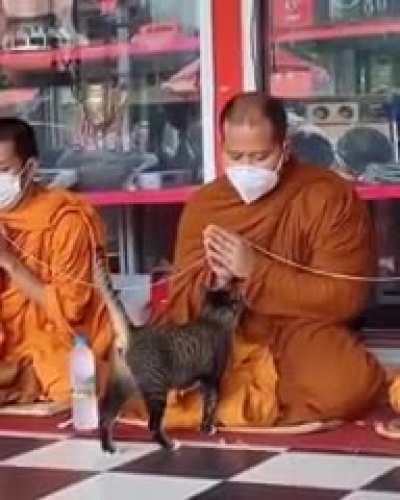 Pets now, pray later.