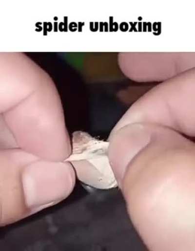 Thanks, I hate Spider unboxing
