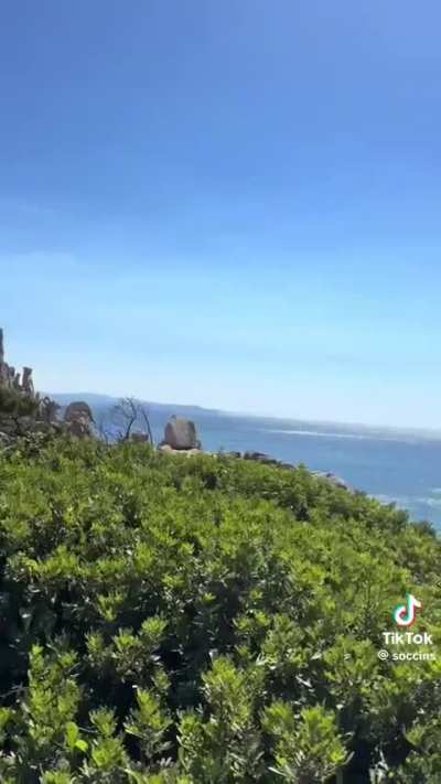 Clara Soccini ITA 🇮🇹